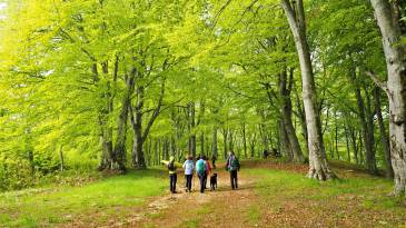 Παγγαίο. Πεζοπορία στο μονοπάτι του PaggaioTrailRun