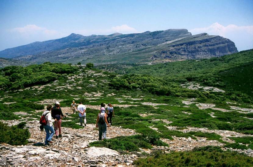 Πούντα – Σταυρί – Μαγγανίτης