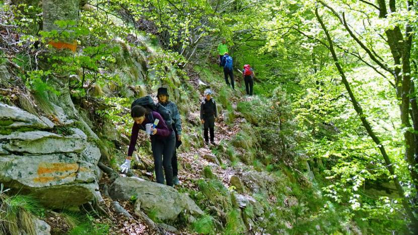 Σηματοδότηση μονοπατιού Μεσορόπης
