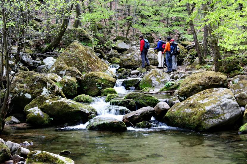 Καταρράκτης Λειβαδίτη