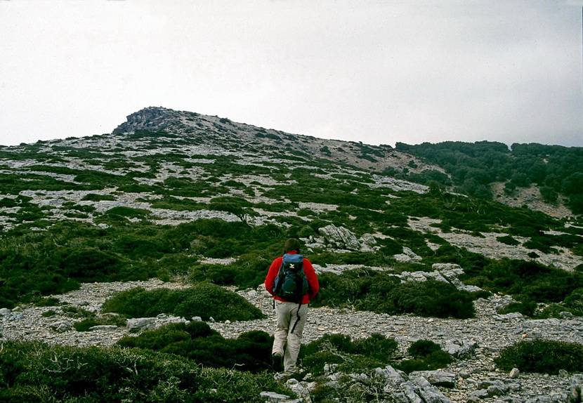 Πούντα – Αμμούδια
