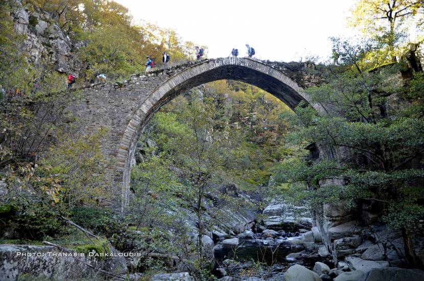 Πεζοπορία στην Ροδόπη (Διπόταμα - Τραχώνι)