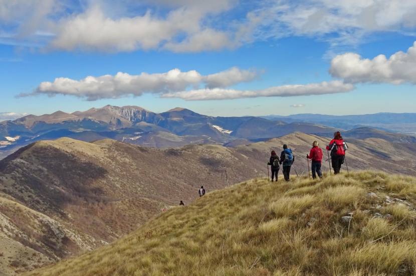 Στον Άγιο Παύλο του Φαλακρού