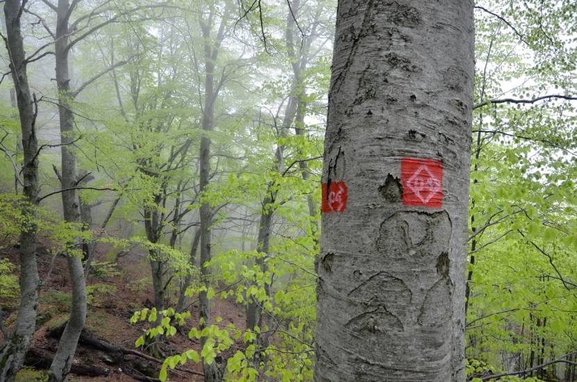 Τα ορειβατικά μονοπάτια της Ελλάδας